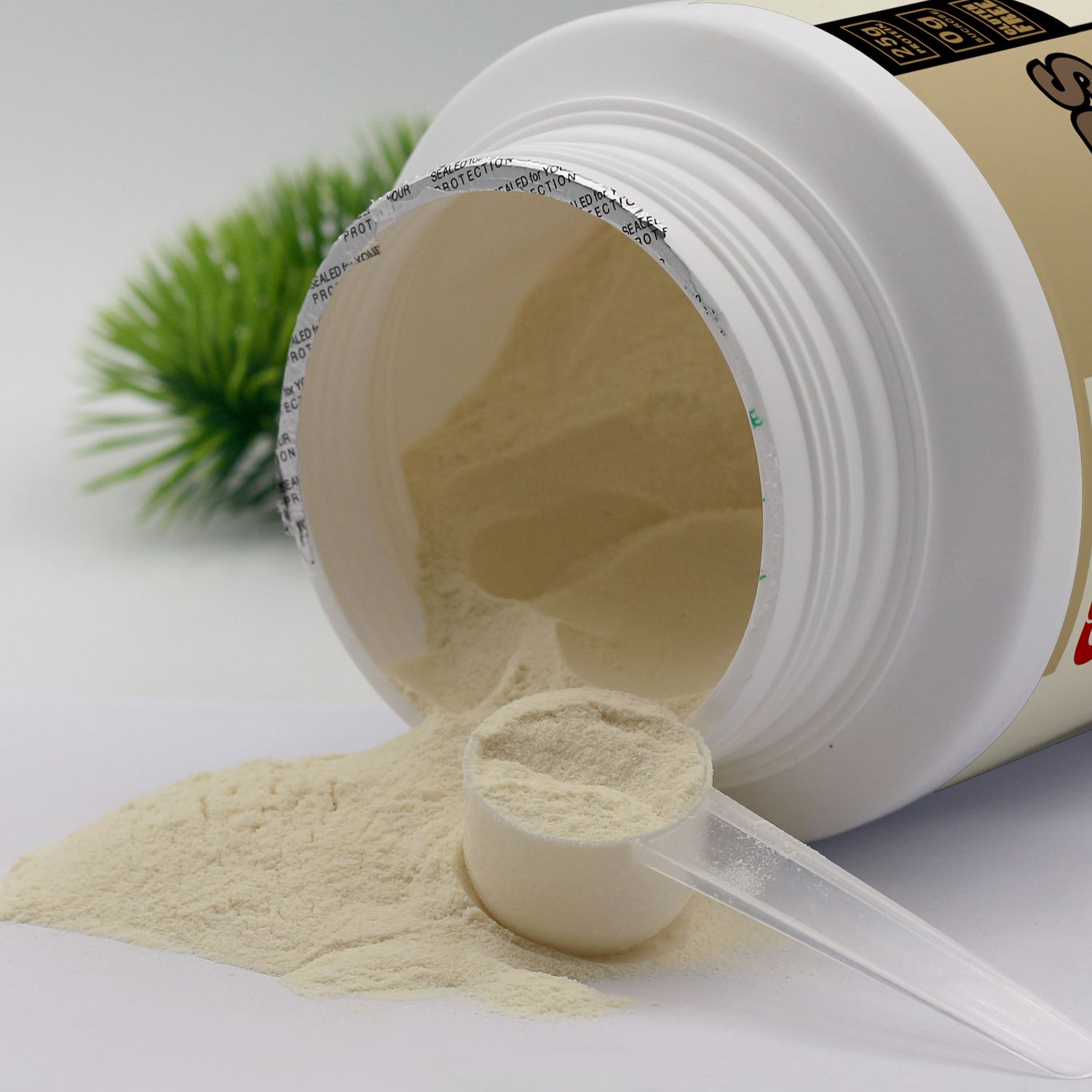 Cordyceps militaris protein powder: Efficacy, population suitability, and scientific understanding