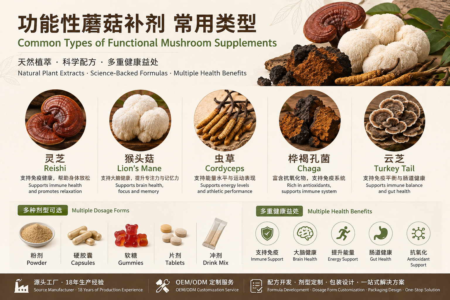 Why Functional Mushrooms Continue to Gain Global Popularity